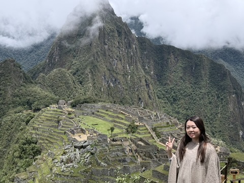 Machu Picchu